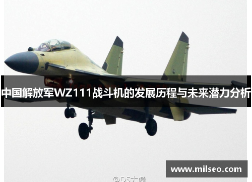 中国解放军WZ111战斗机的发展历程与未来潜力分析